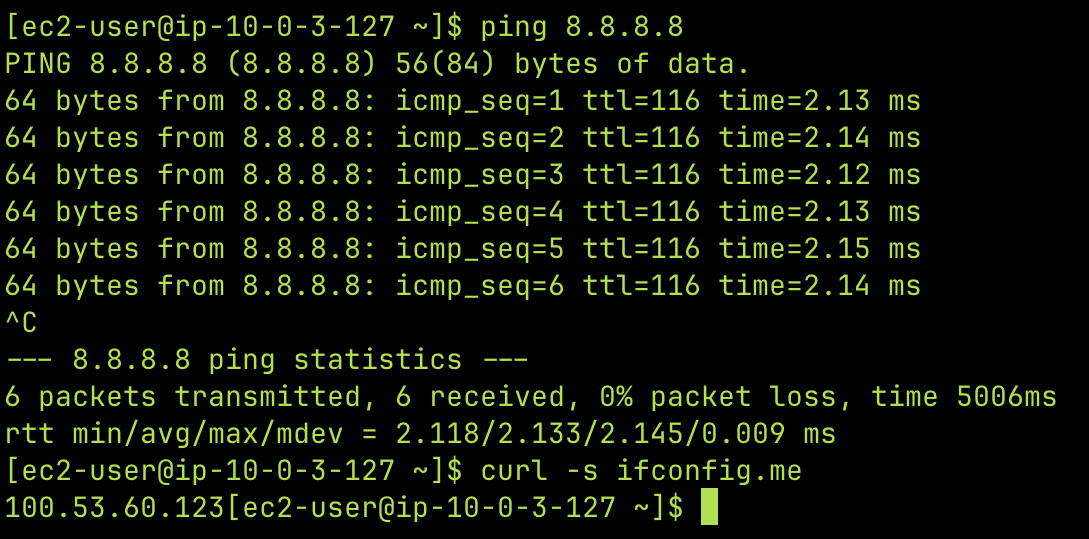 NAT funcionando — ping y curl